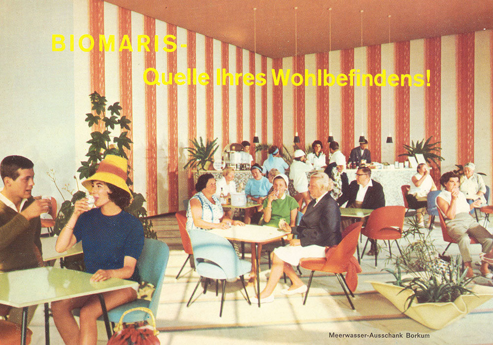 café, Innenraum, Vintage, Menschen, Pflanzen