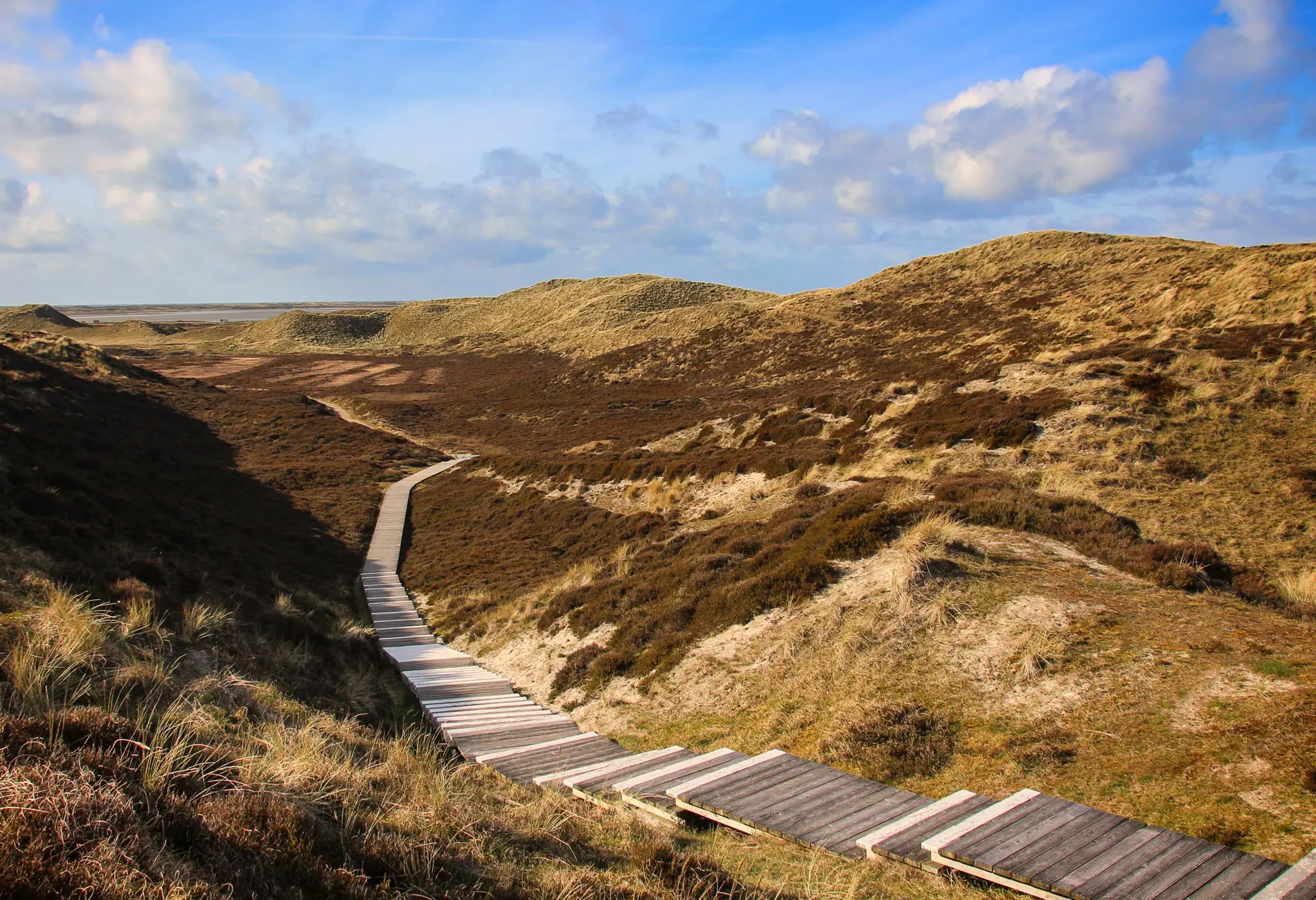 Heidelandschaft, Holzsteg, Wanderweg, Dünen, Blauer Himmel