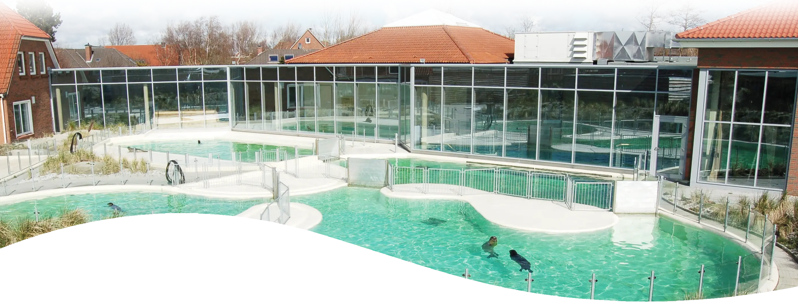 Außenbereich der Seehundstation Norddeich mit Becken