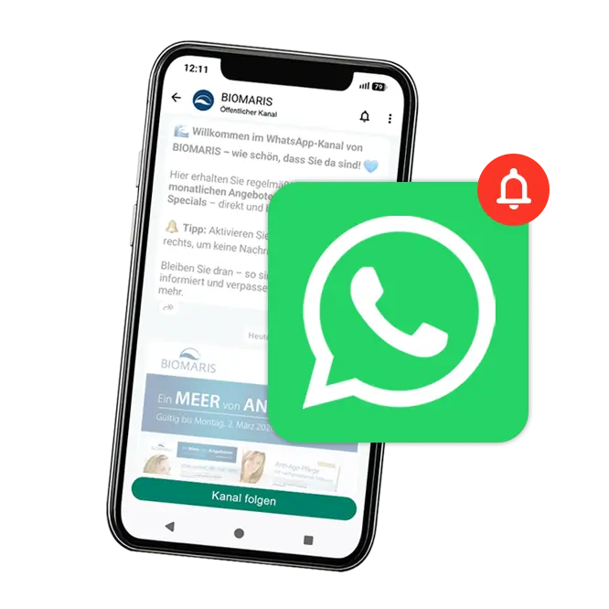 smartphone, display, WhatsApp, Benachrichtigung, grünes Symbol